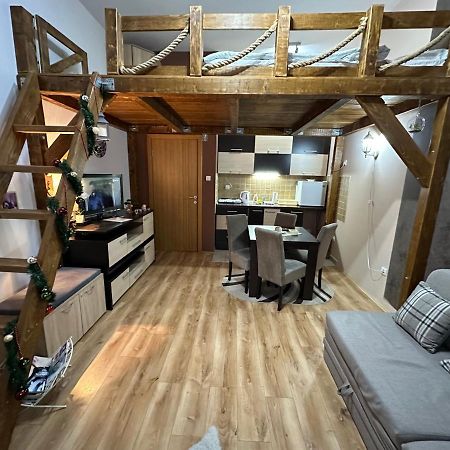 Apartman Planinski Raj 科帕奥尼克 外观 照片