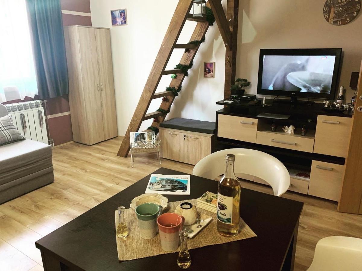 Apartman Planinski Raj 科帕奥尼克 外观 照片