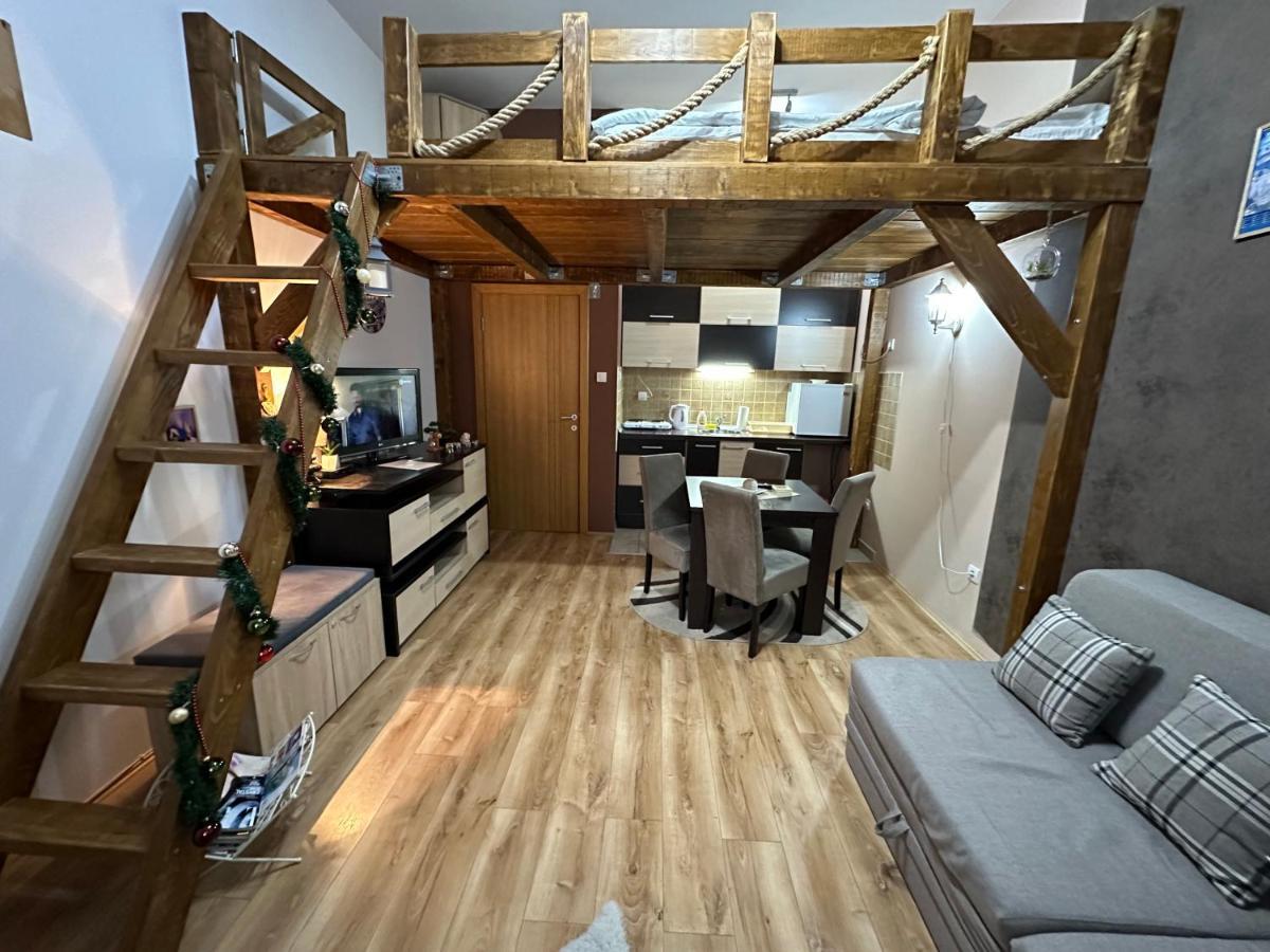 Apartman Planinski Raj 科帕奥尼克 外观 照片
