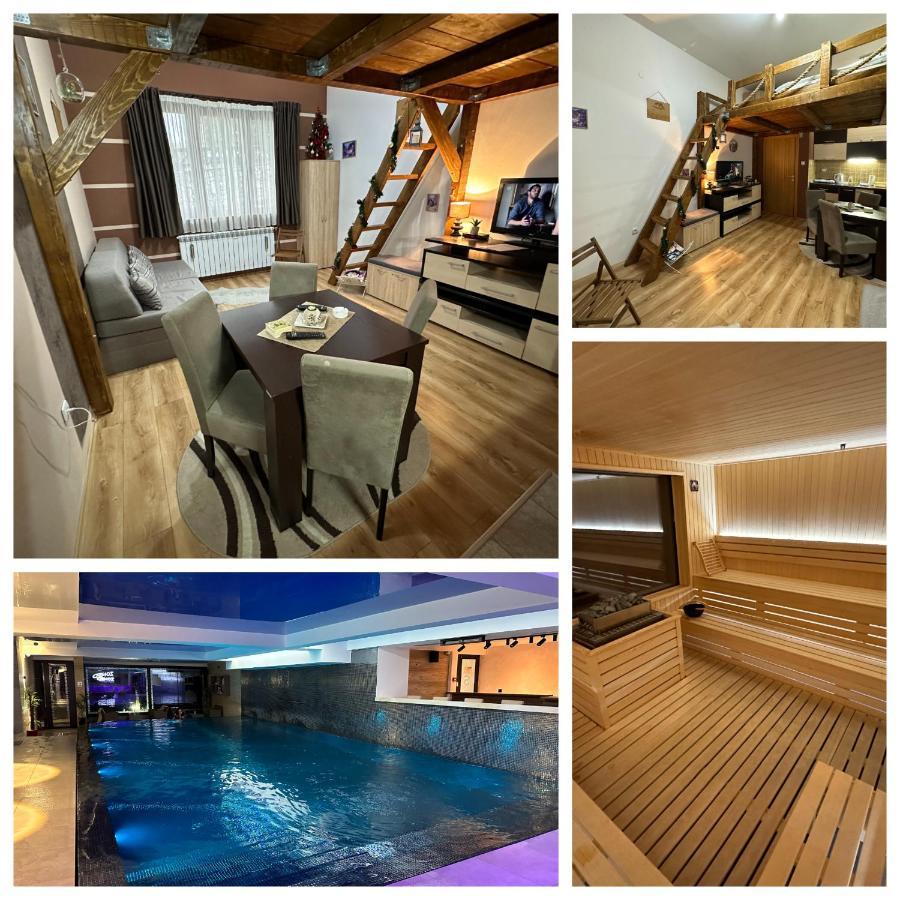 Apartman Planinski Raj 科帕奥尼克 外观 照片