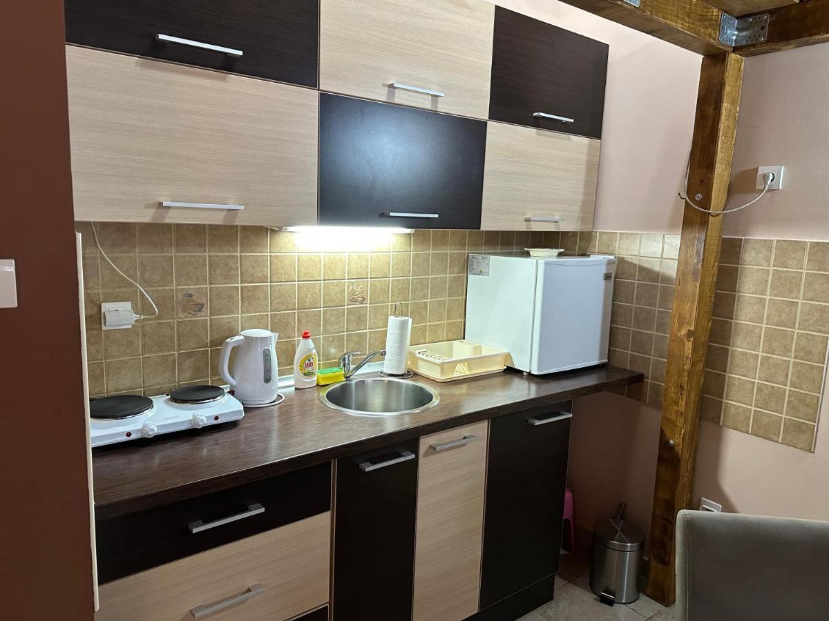 Apartman Planinski Raj 科帕奥尼克 外观 照片